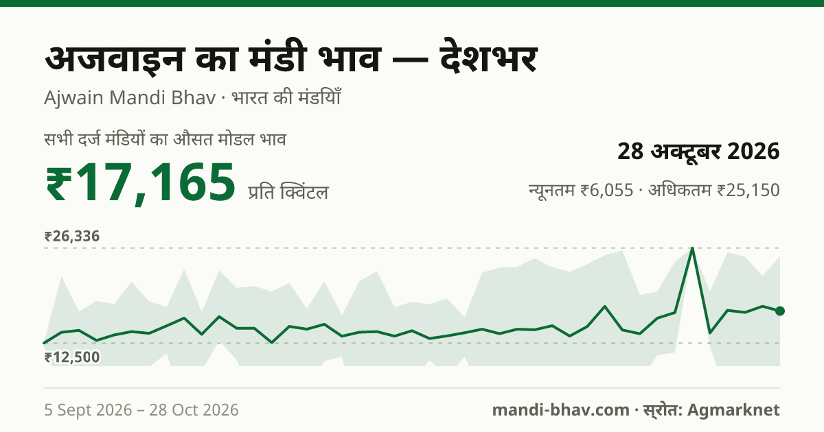 देशभर में अजवाइन का मंडी भाव 28 अक्टूबर 2026: औसत मोडल ₹17,165 प्रति क्विंटल, भाव के रुझान का चार्ट