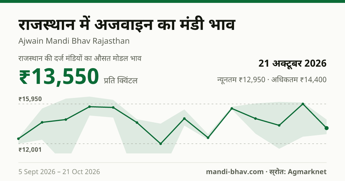 राजस्थान में अजवाइन का मंडी भाव 21 अक्टूबर 2026: औसत मोडल ₹13,550 प्रति क्विंटल, भाव के रुझान का चार्ट