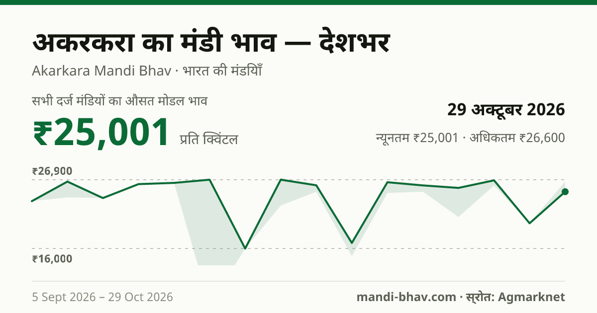 देशभर में अकरकरा का मंडी भाव 29 अक्टूबर 2026: औसत मोडल ₹25,001 प्रति क्विंटल, भाव के रुझान का चार्ट