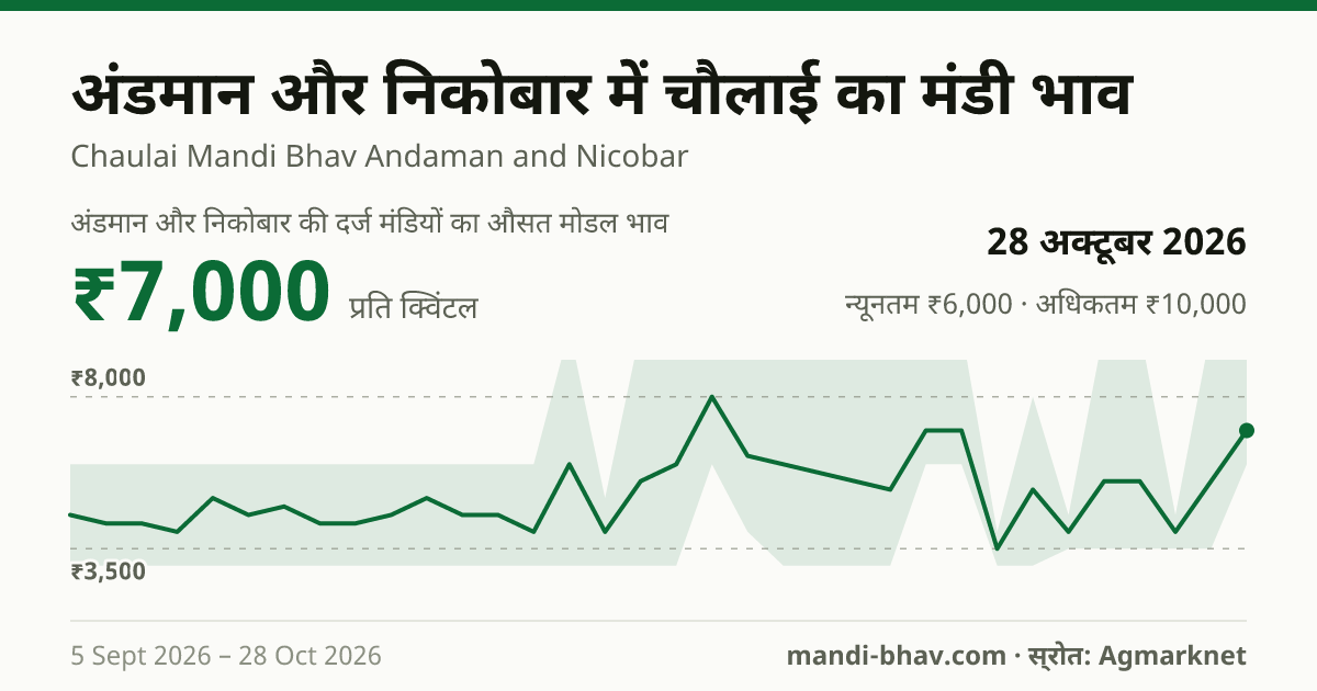 अंडमान और निकोबार में चौलाई का मंडी भाव 28 अक्टूबर 2026: औसत मोडल ₹7,000 प्रति क्विंटल, भाव के रुझान का चार्ट