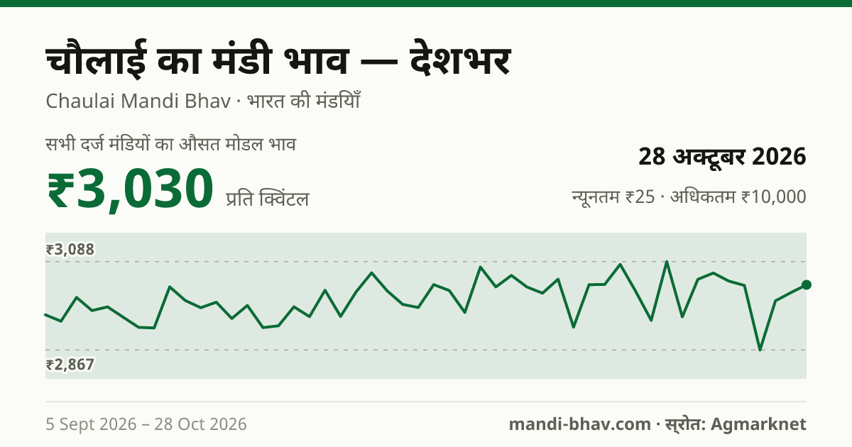 देशभर में चौलाई का मंडी भाव 28 अक्टूबर 2026: औसत मोडल ₹3,030 प्रति क्विंटल, भाव के रुझान का चार्ट