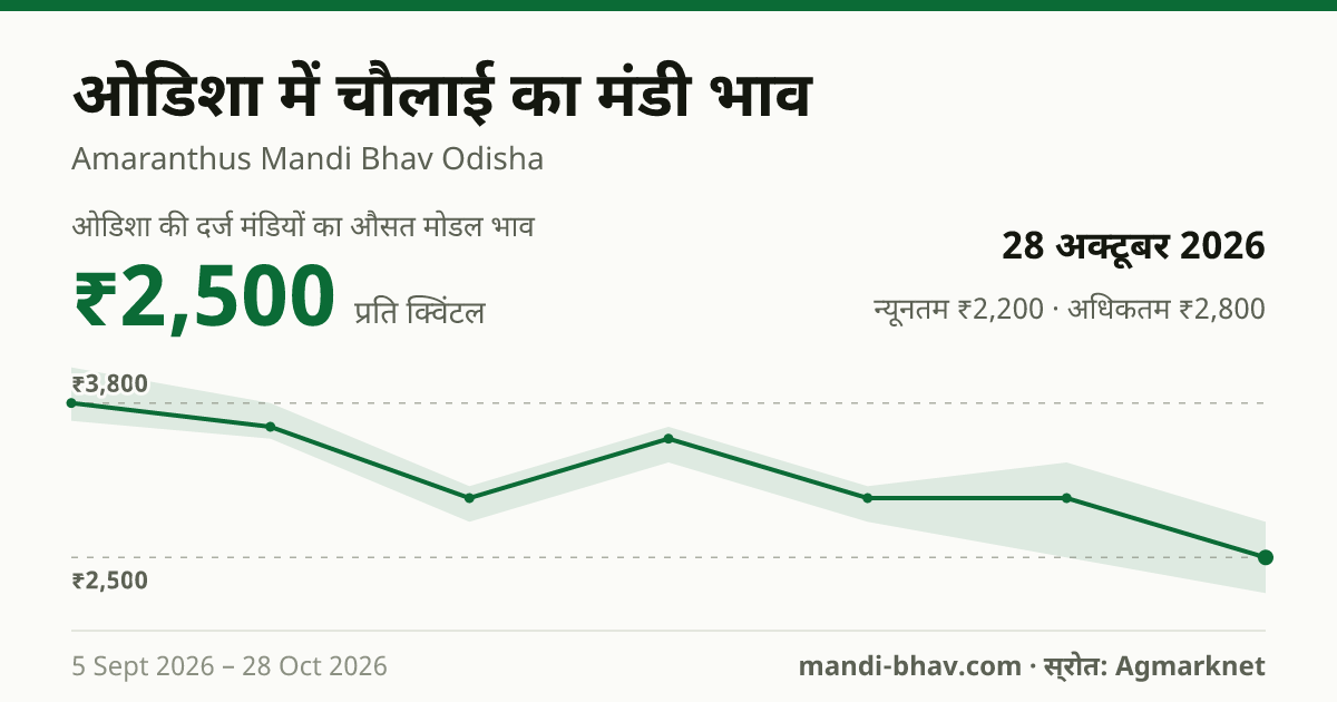 ओडिशा में चौलाई का मंडी भाव 28 अक्टूबर 2026: औसत मोडल ₹2,500 प्रति क्विंटल, भाव के रुझान का चार्ट