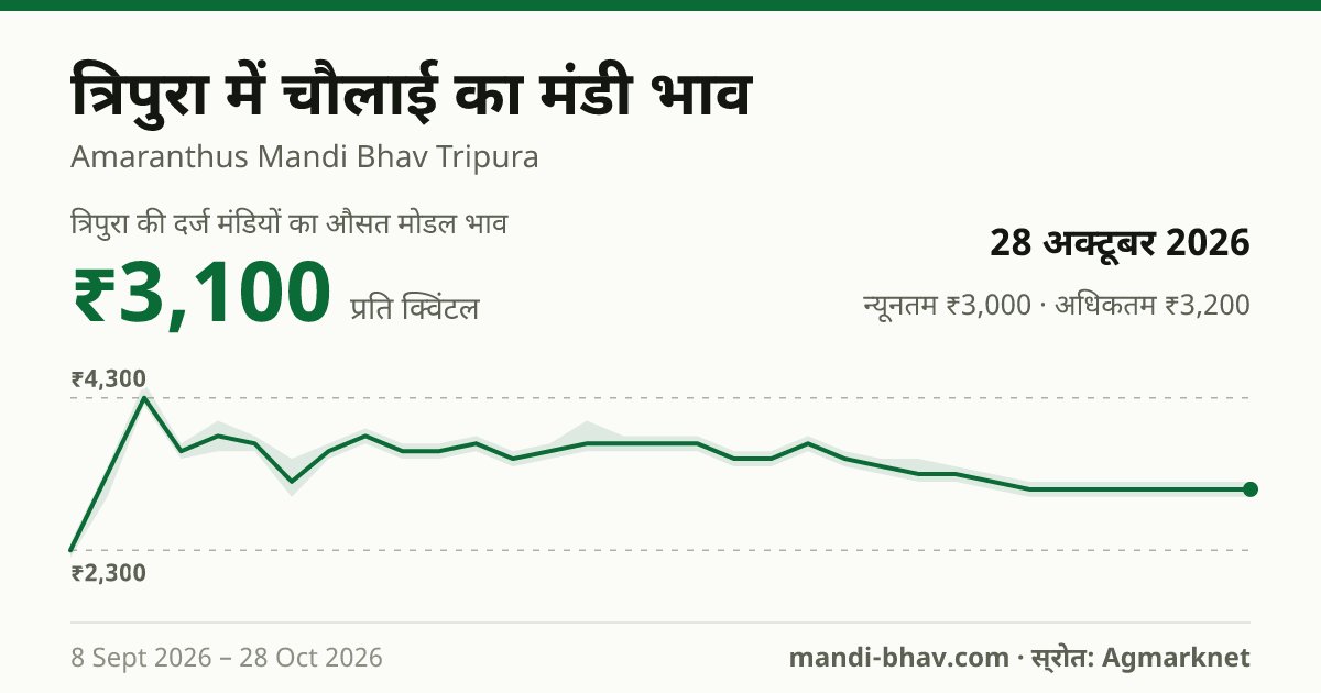 त्रिपुरा में चौलाई का मंडी भाव 28 अक्टूबर 2026: औसत मोडल ₹3,100 प्रति क्विंटल, भाव के रुझान का चार्ट