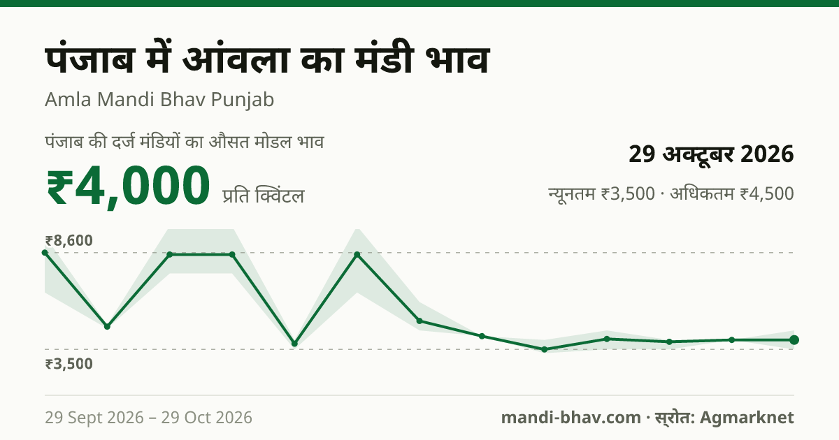 पंजाब में आंवला का मंडी भाव 29 अक्टूबर 2026: औसत मोडल ₹4,000 प्रति क्विंटल, भाव के रुझान का चार्ट