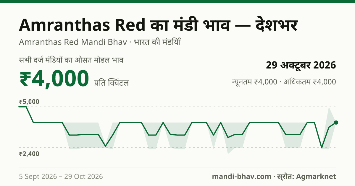 देशभर में Amranthas Red का मंडी भाव 29 अक्टूबर 2026: औसत मोडल ₹4,000 प्रति क्विंटल, भाव के रुझान का चार्ट