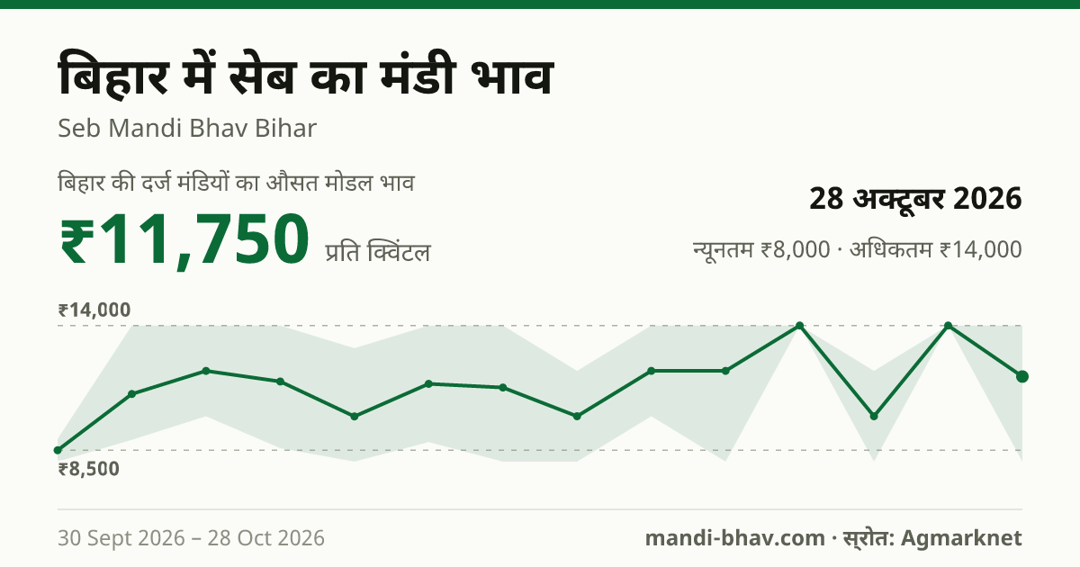 बिहार में सेब का मंडी भाव 28 अक्टूबर 2026: औसत मोडल ₹11,750 प्रति क्विंटल, भाव के रुझान का चार्ट
