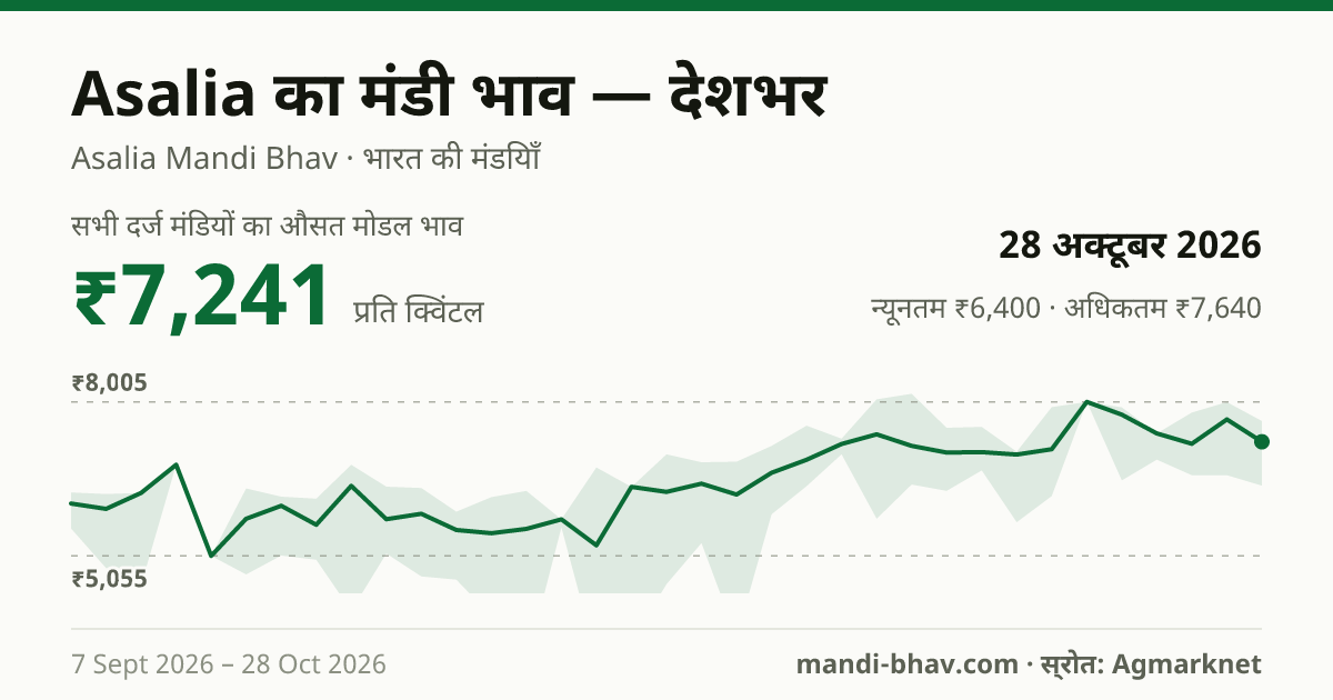 देशभर में Asalia का मंडी भाव 28 अक्टूबर 2026: औसत मोडल ₹7,241 प्रति क्विंटल, भाव के रुझान का चार्ट