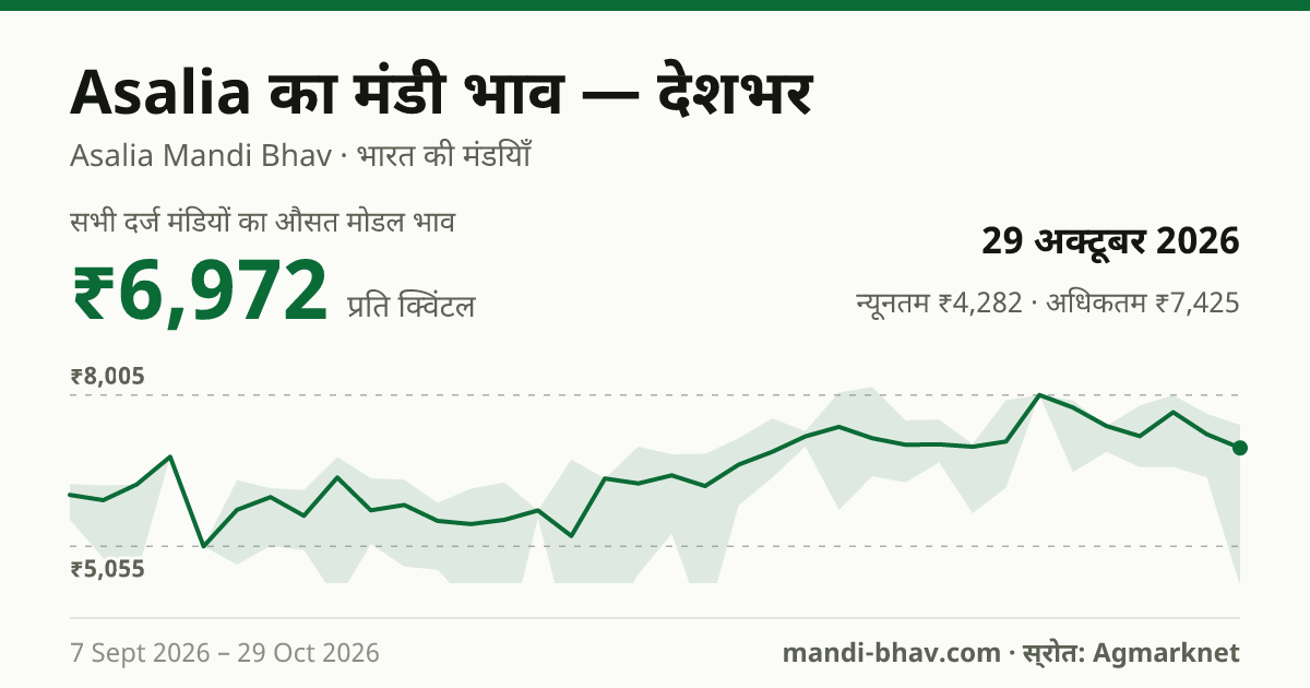 देशभर में Asalia का मंडी भाव 29 अक्टूबर 2026: औसत मोडल ₹6,972 प्रति क्विंटल, भाव के रुझान का चार्ट