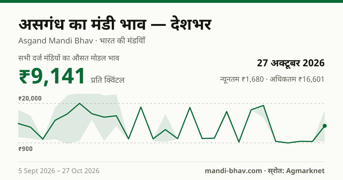देशभर में असगंध का मंडी भाव 27 अक्टूबर 2026: औसत मोडल ₹9,141 प्रति क्विंटल, भाव के रुझान का चार्ट
