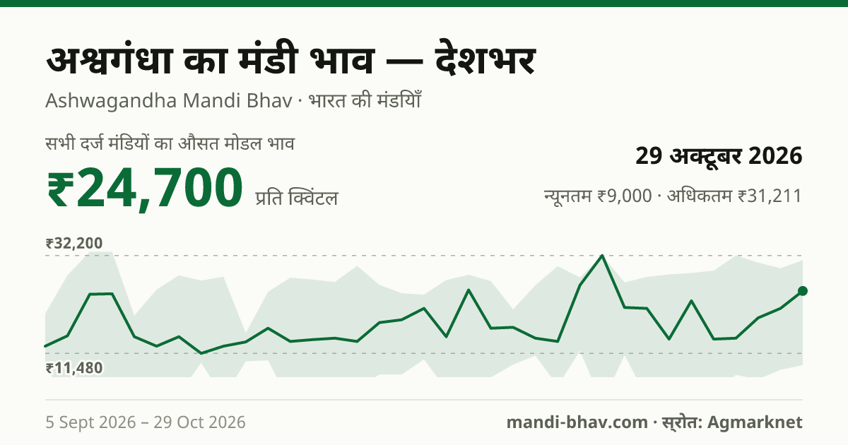 देशभर में अश्वगंधा का मंडी भाव 29 अक्टूबर 2026: औसत मोडल ₹24,700 प्रति क्विंटल, भाव के रुझान का चार्ट