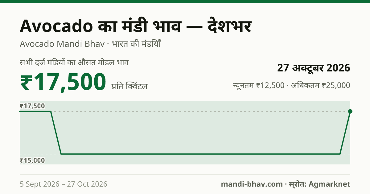 देशभर में Avocado का मंडी भाव 27 अक्टूबर 2026: औसत मोडल ₹17,500 प्रति क्विंटल, भाव के रुझान का चार्ट