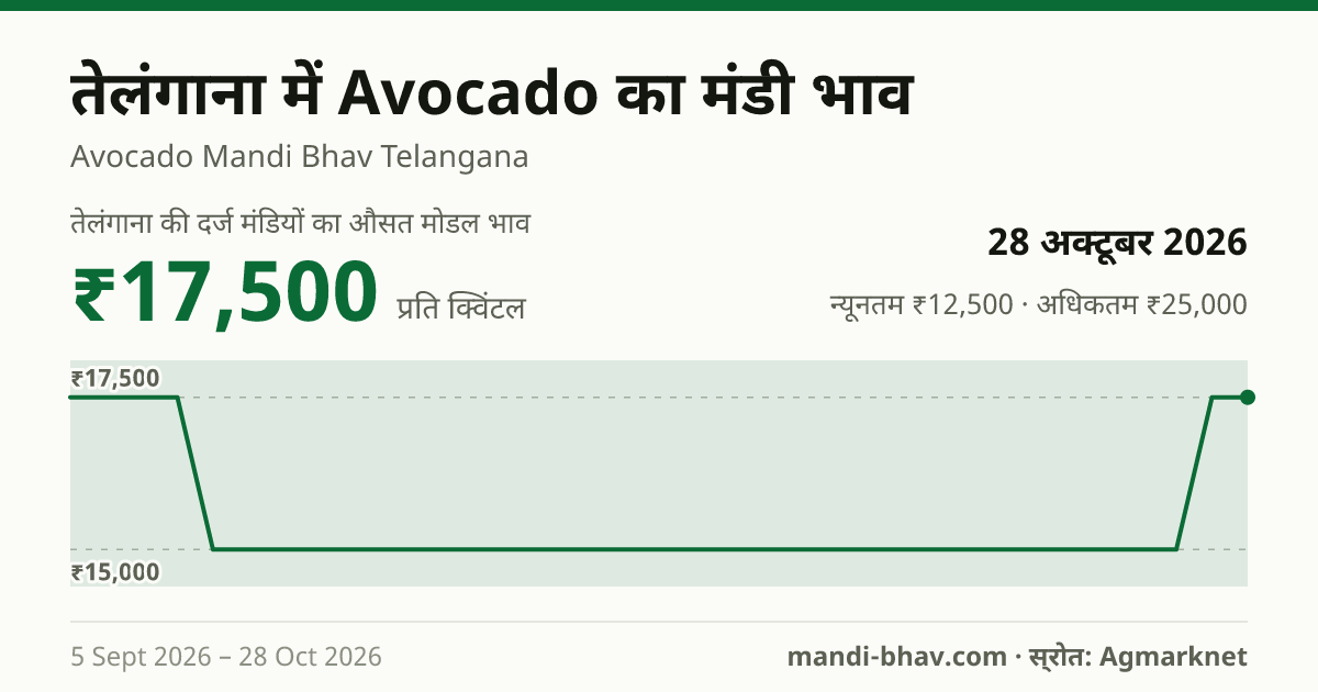 तेलंगाना में Avocado का मंडी भाव 28 अक्टूबर 2026: औसत मोडल ₹17,500 प्रति क्विंटल, भाव के रुझान का चार्ट