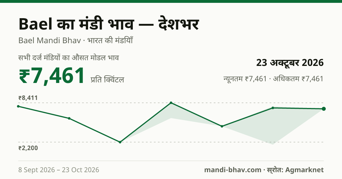 देशभर में Bael का मंडी भाव 23 अक्टूबर 2026: औसत मोडल ₹7,461 प्रति क्विंटल, भाव के रुझान का चार्ट