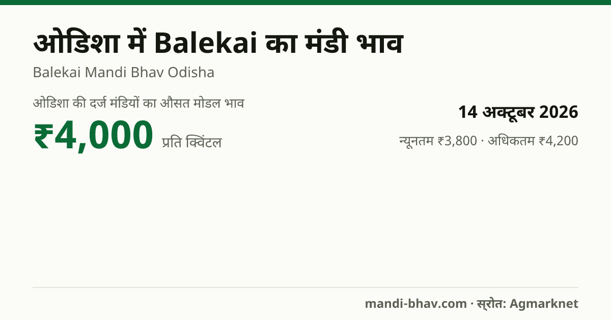 ओडिशा में Balekai का मंडी भाव 14 अक्टूबर 2026: औसत मोडल ₹4,000 प्रति क्विंटल, भाव के रुझान का चार्ट