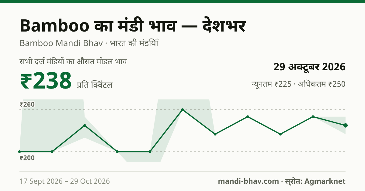 देशभर में Bamboo का मंडी भाव 29 अक्टूबर 2026: औसत मोडल ₹238 प्रति क्विंटल, भाव के रुझान का चार्ट