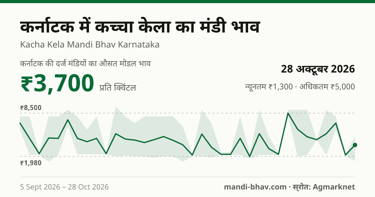 कर्नाटक में कच्चा केला का मंडी भाव 28 अक्टूबर 2026: औसत मोडल ₹3,700 प्रति क्विंटल, भाव के रुझान का चार्ट