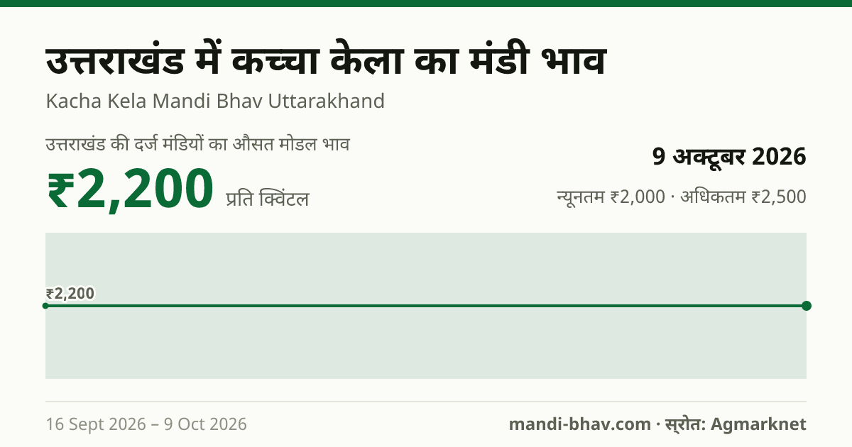 उत्तराखंड में कच्चा केला का मंडी भाव 9 अक्टूबर 2026: औसत मोडल ₹2,200 प्रति क्विंटल, भाव के रुझान का चार्ट