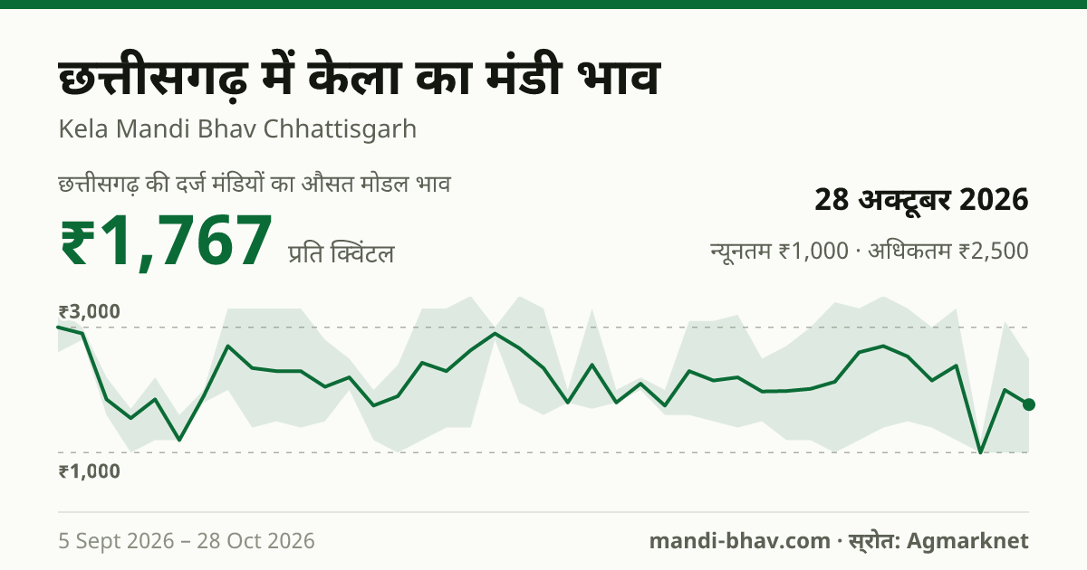 छत्तीसगढ़ में केला का मंडी भाव 28 अक्टूबर 2026: औसत मोडल ₹1,767 प्रति क्विंटल, भाव के रुझान का चार्ट