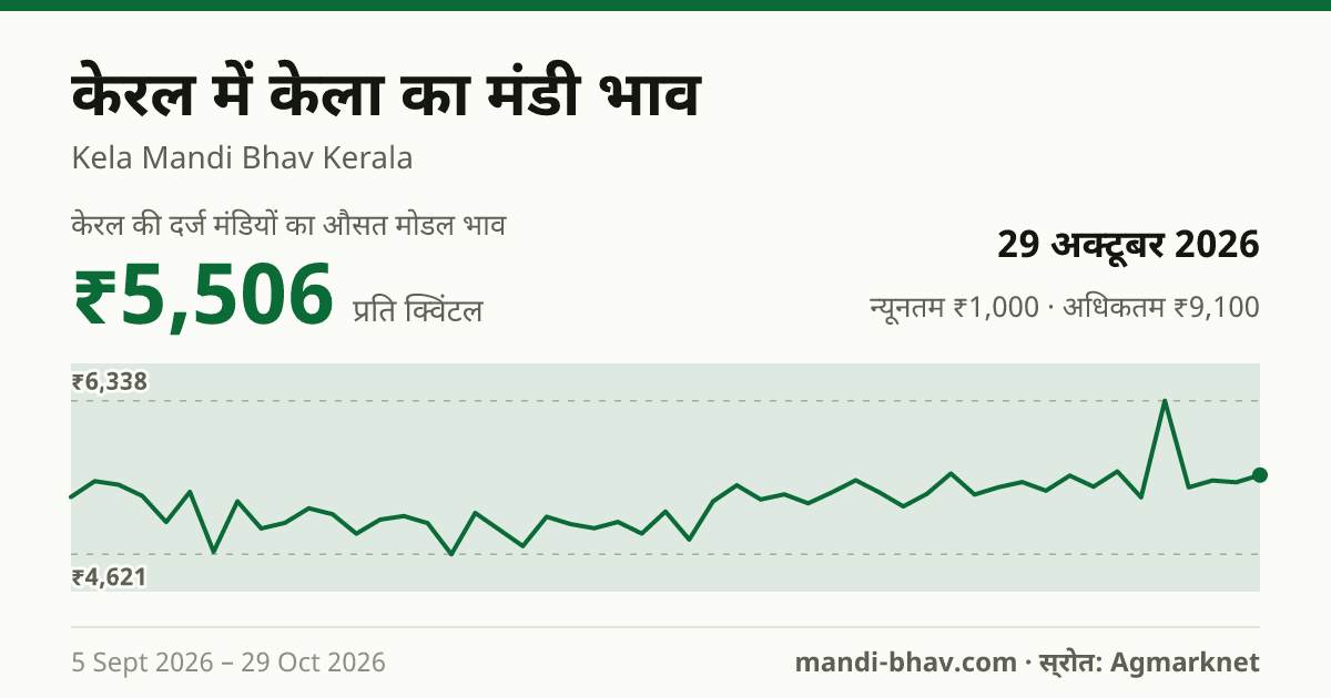 केरल में केला का मंडी भाव 29 अक्टूबर 2026: औसत मोडल ₹5,375 प्रति क्विंटल, भाव के रुझान का चार्ट