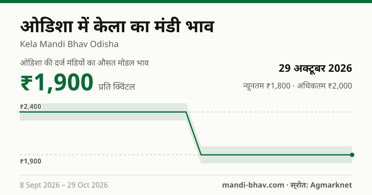 ओडिशा में केला का मंडी भाव 29 अक्टूबर 2026: औसत मोडल ₹1,900 प्रति क्विंटल, भाव के रुझान का चार्ट