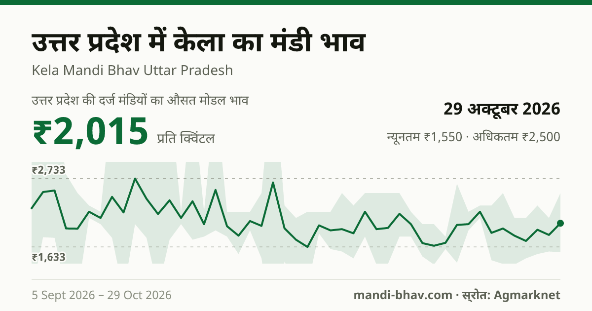 उत्तर प्रदेश में केला का मंडी भाव 29 अक्टूबर 2026: औसत मोडल ₹1,853 प्रति क्विंटल, भाव के रुझान का चार्ट