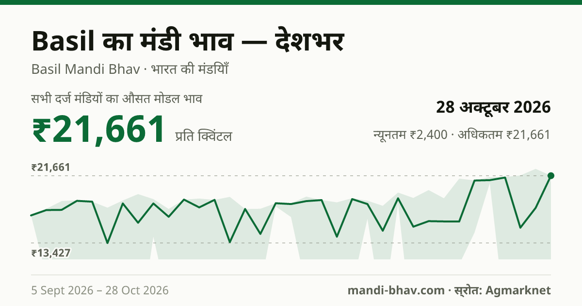 देशभर में Basil का मंडी भाव 28 अक्टूबर 2026: औसत मोडल ₹21,661 प्रति क्विंटल, भाव के रुझान का चार्ट