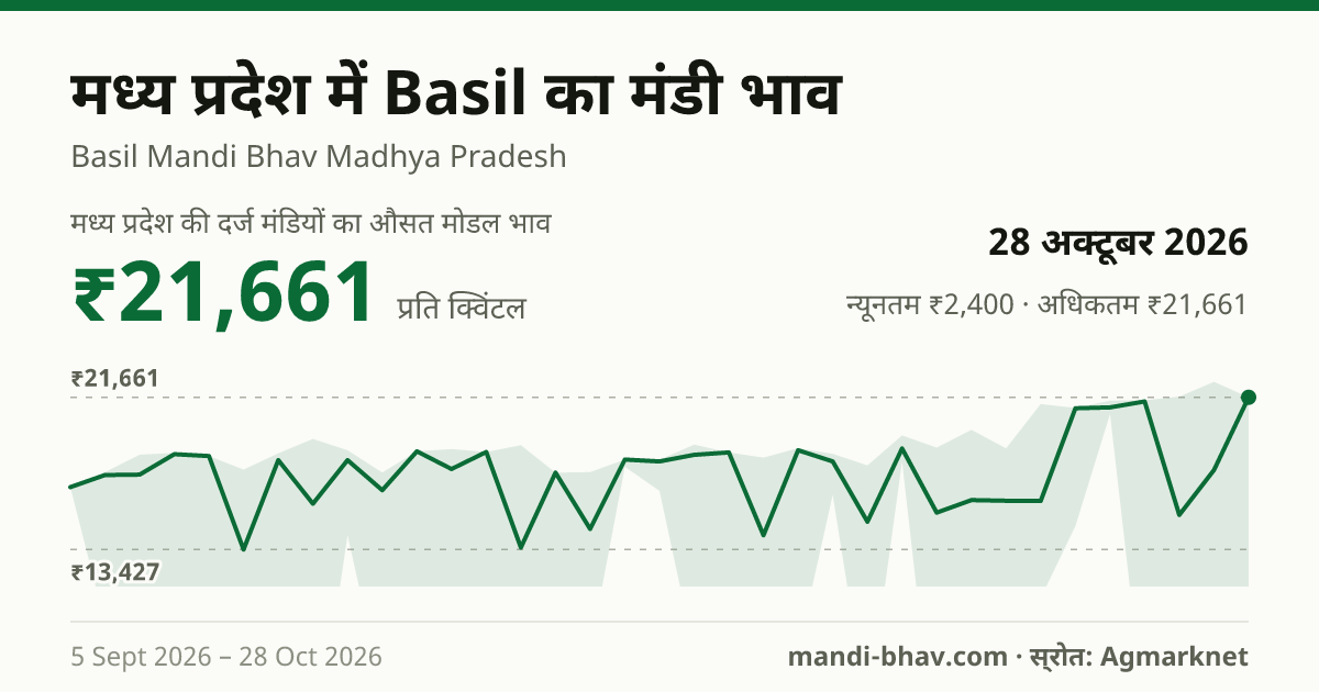 मध्य प्रदेश में Basil का मंडी भाव 28 अक्टूबर 2026: औसत मोडल ₹21,661 प्रति क्विंटल, भाव के रुझान का चार्ट