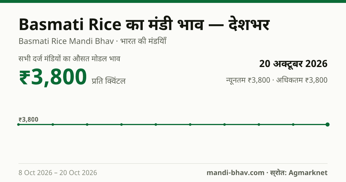 देशभर में Basmati Rice का मंडी भाव 20 अक्टूबर 2026: औसत मोडल ₹3,800 प्रति क्विंटल, भाव के रुझान का चार्ट