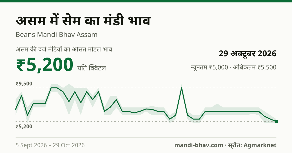 असम में सेम का मंडी भाव 29 अक्टूबर 2026: औसत मोडल ₹5,200 प्रति क्विंटल, भाव के रुझान का चार्ट