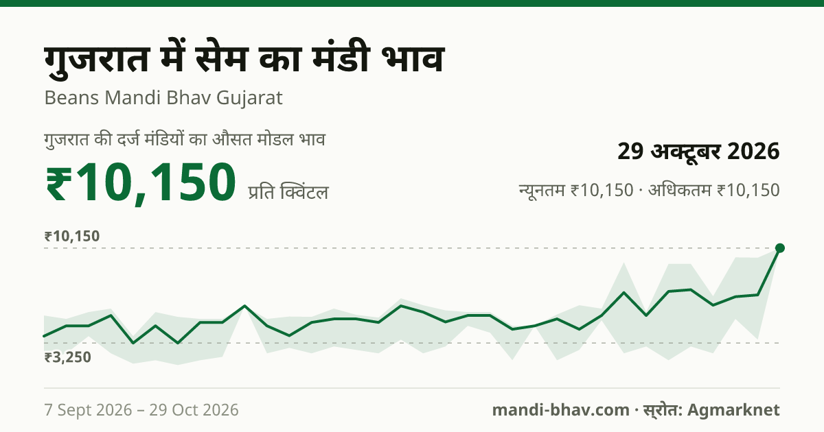 गुजरात में सेम का मंडी भाव 29 अक्टूबर 2026: औसत मोडल ₹10,150 प्रति क्विंटल, भाव के रुझान का चार्ट