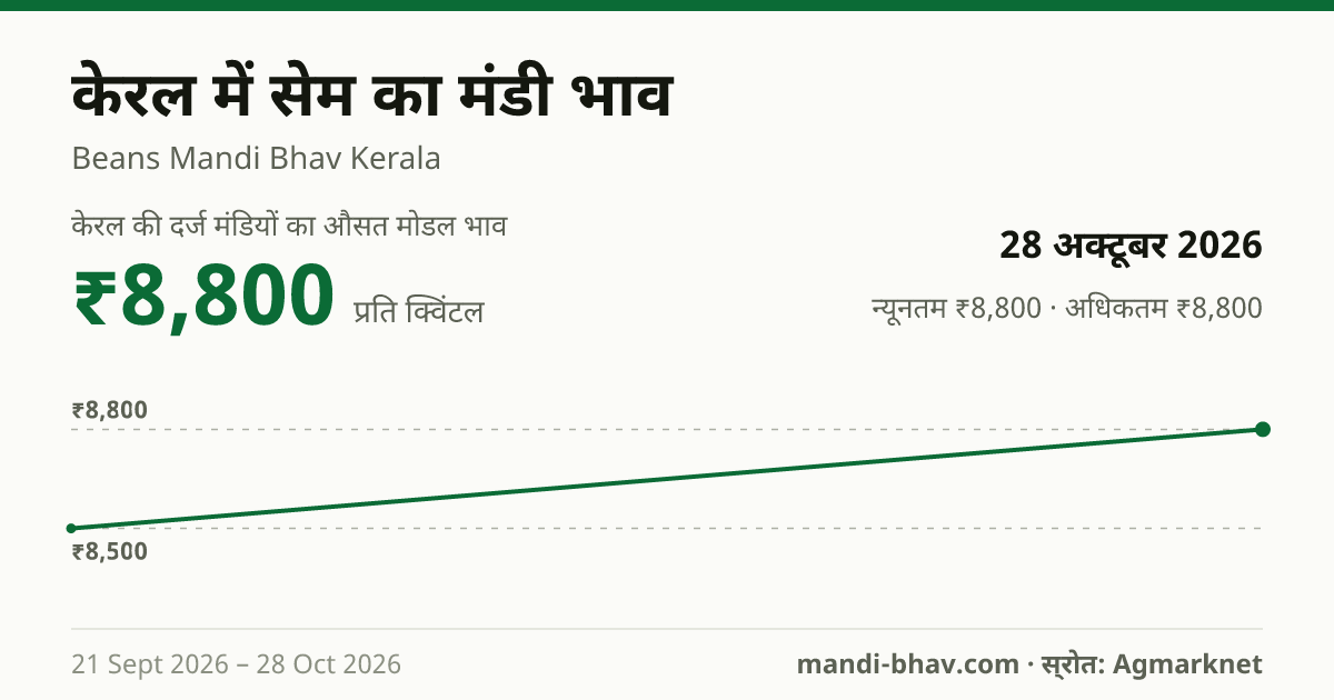 केरल में सेम का मंडी भाव 28 अक्टूबर 2026: औसत मोडल ₹8,800 प्रति क्विंटल, भाव के रुझान का चार्ट