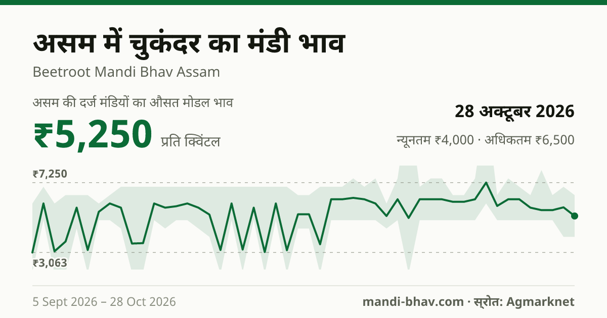 असम में चुकंदर का मंडी भाव 28 अक्टूबर 2026: औसत मोडल ₹5,250 प्रति क्विंटल, भाव के रुझान का चार्ट