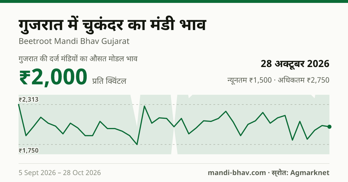 गुजरात में चुकंदर का मंडी भाव 28 अक्टूबर 2026: औसत मोडल ₹2,000 प्रति क्विंटल, भाव के रुझान का चार्ट