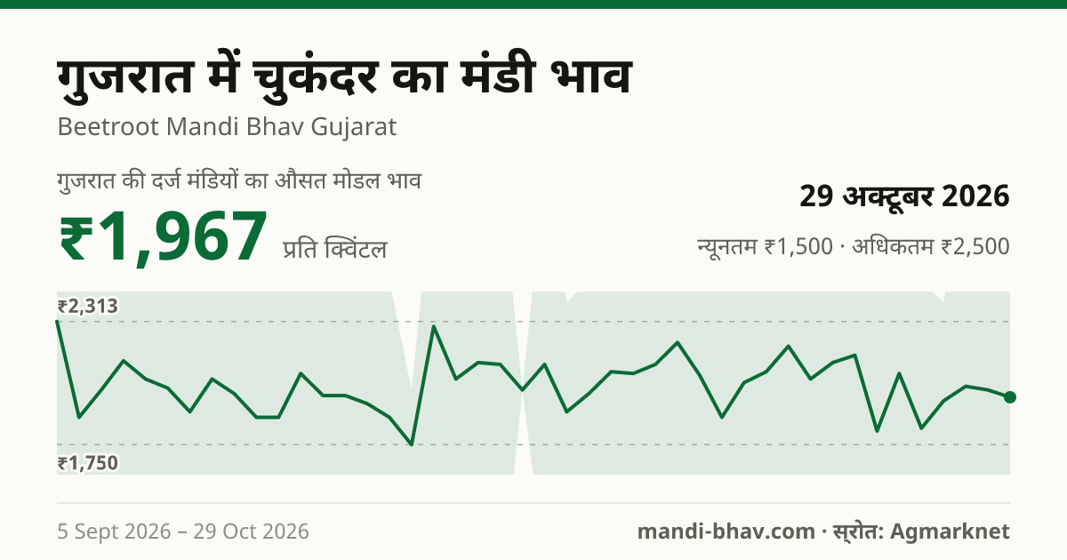 गुजरात में चुकंदर का मंडी भाव 29 अक्टूबर 2026: औसत मोडल ₹1,967 प्रति क्विंटल, भाव के रुझान का चार्ट