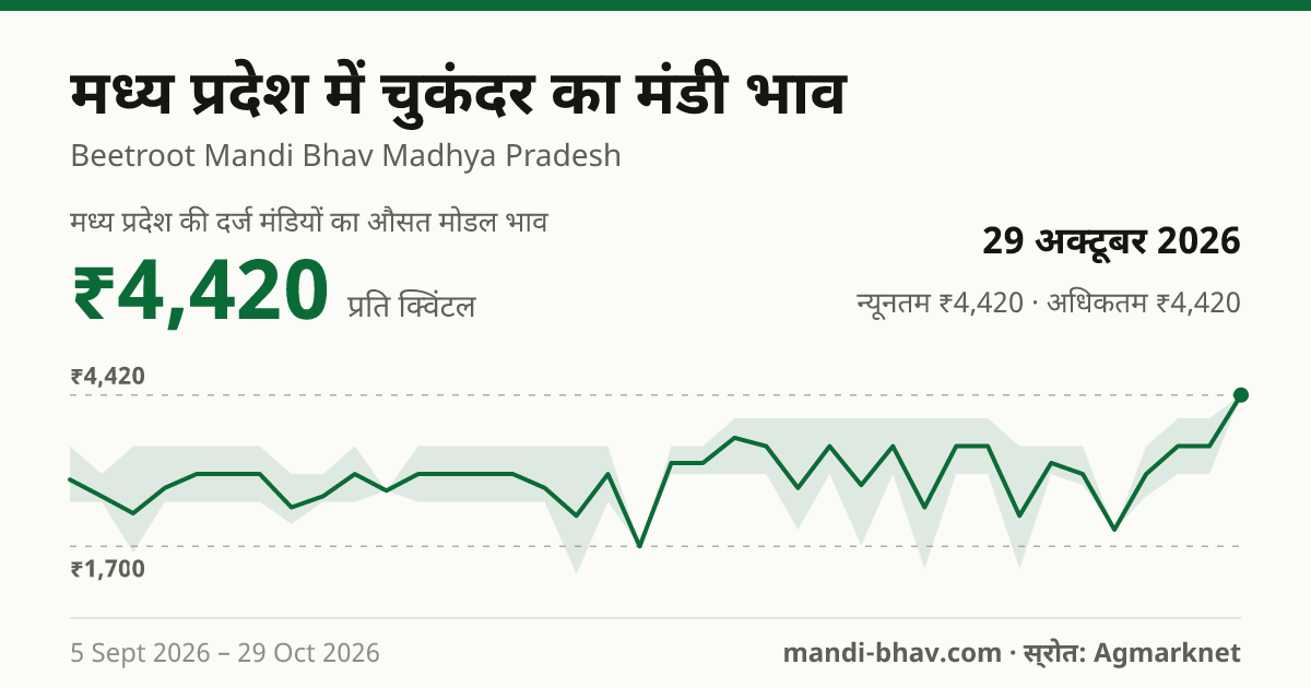 मध्य प्रदेश में चुकंदर का मंडी भाव 29 अक्टूबर 2026: औसत मोडल ₹4,420 प्रति क्विंटल, भाव के रुझान का चार्ट