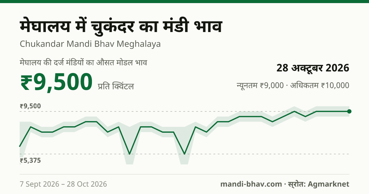 मेघालय में चुकंदर का मंडी भाव 28 अक्टूबर 2026: औसत मोडल ₹9,500 प्रति क्विंटल, भाव के रुझान का चार्ट