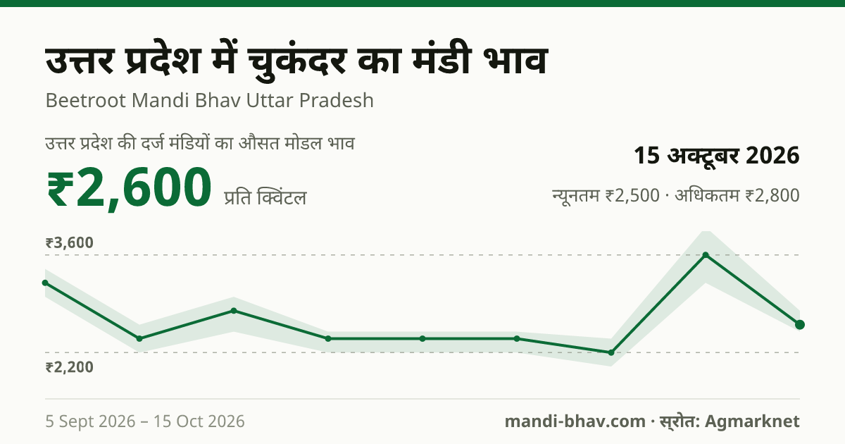 उत्तर प्रदेश में चुकंदर का मंडी भाव 15 अक्टूबर 2026: औसत मोडल ₹2,600 प्रति क्विंटल, भाव के रुझान का चार्ट