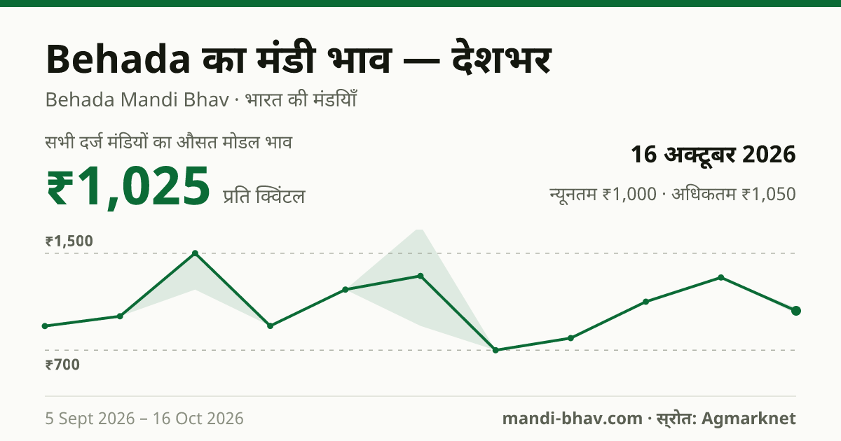 देशभर में Behada का मंडी भाव 16 अक्टूबर 2026: औसत मोडल ₹1,025 प्रति क्विंटल, भाव के रुझान का चार्ट