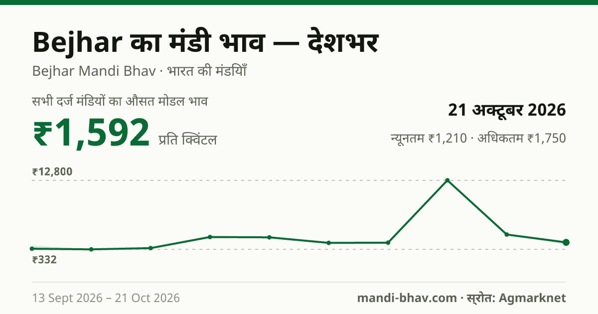 देशभर में Bejhar का मंडी भाव 21 अक्टूबर 2026: औसत मोडल ₹1,592 प्रति क्विंटल, भाव के रुझान का चार्ट