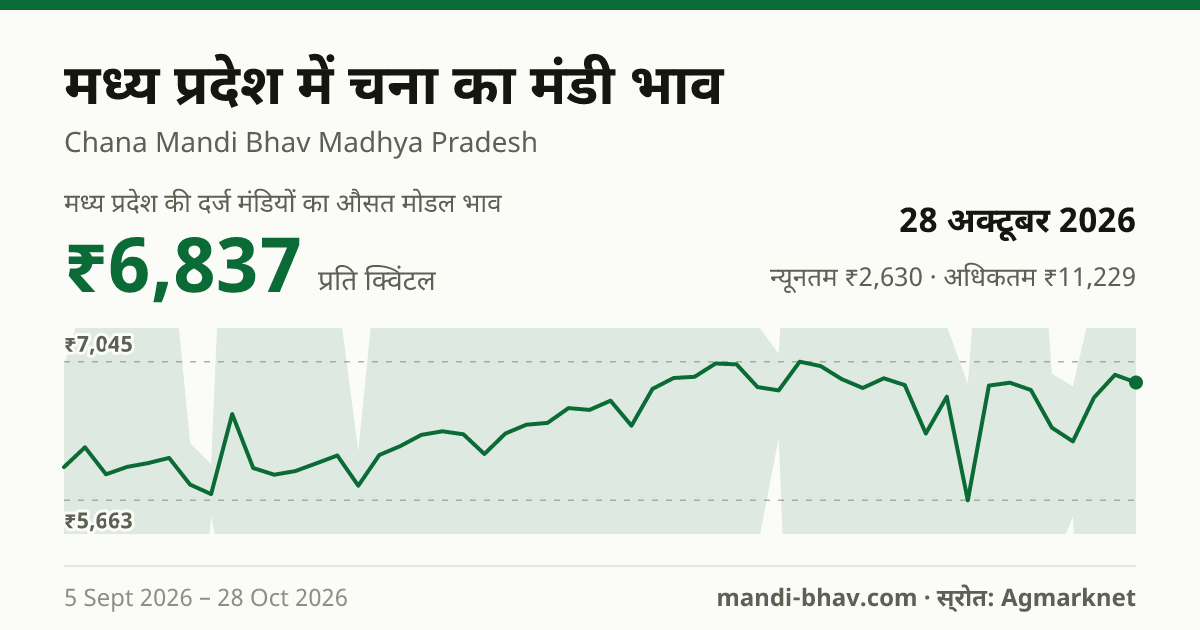 मध्य प्रदेश में चना का मंडी भाव 28 अक्टूबर 2026: औसत मोडल ₹6,837 प्रति क्विंटल, भाव के रुझान का चार्ट