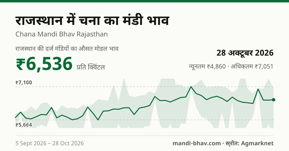 राजस्थान में चना का मंडी भाव 28 अक्टूबर 2026: औसत मोडल ₹6,536 प्रति क्विंटल, भाव के रुझान का चार्ट