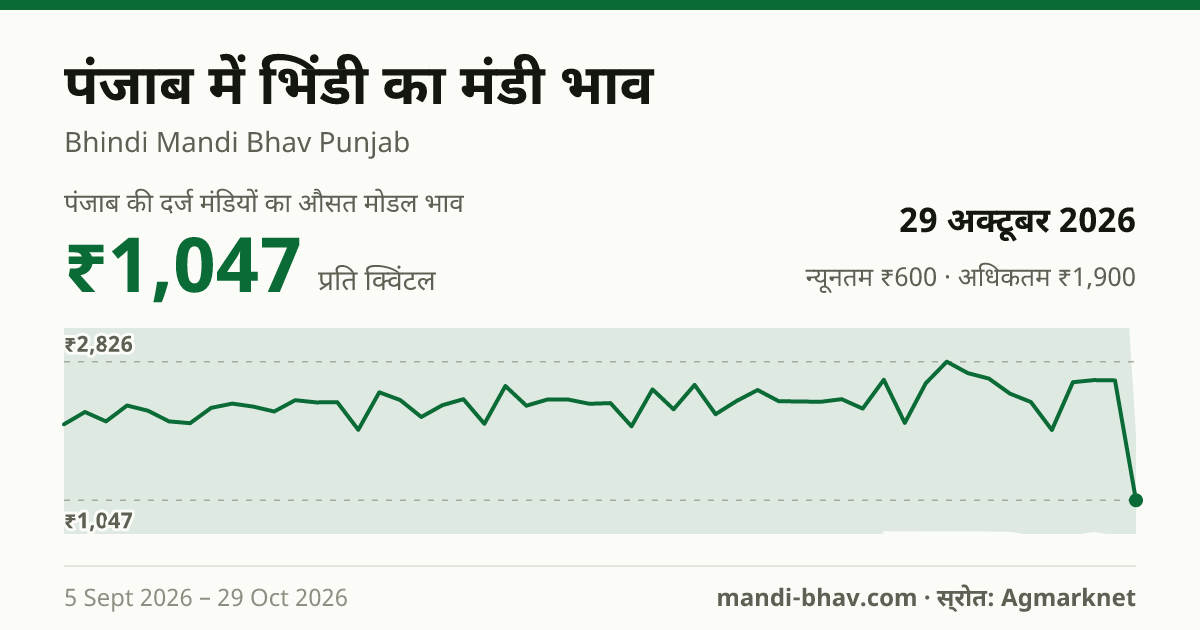 पंजाब में भिंडी का मंडी भाव 29 अक्टूबर 2026: औसत मोडल ₹1,047 प्रति क्विंटल, भाव के रुझान का चार्ट