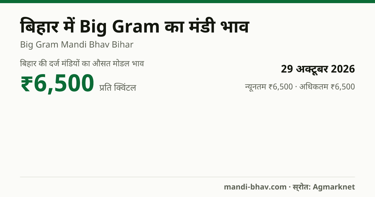 बिहार में Big Gram का मंडी भाव 29 अक्टूबर 2026: औसत मोडल ₹6,500 प्रति क्विंटल, भाव के रुझान का चार्ट
