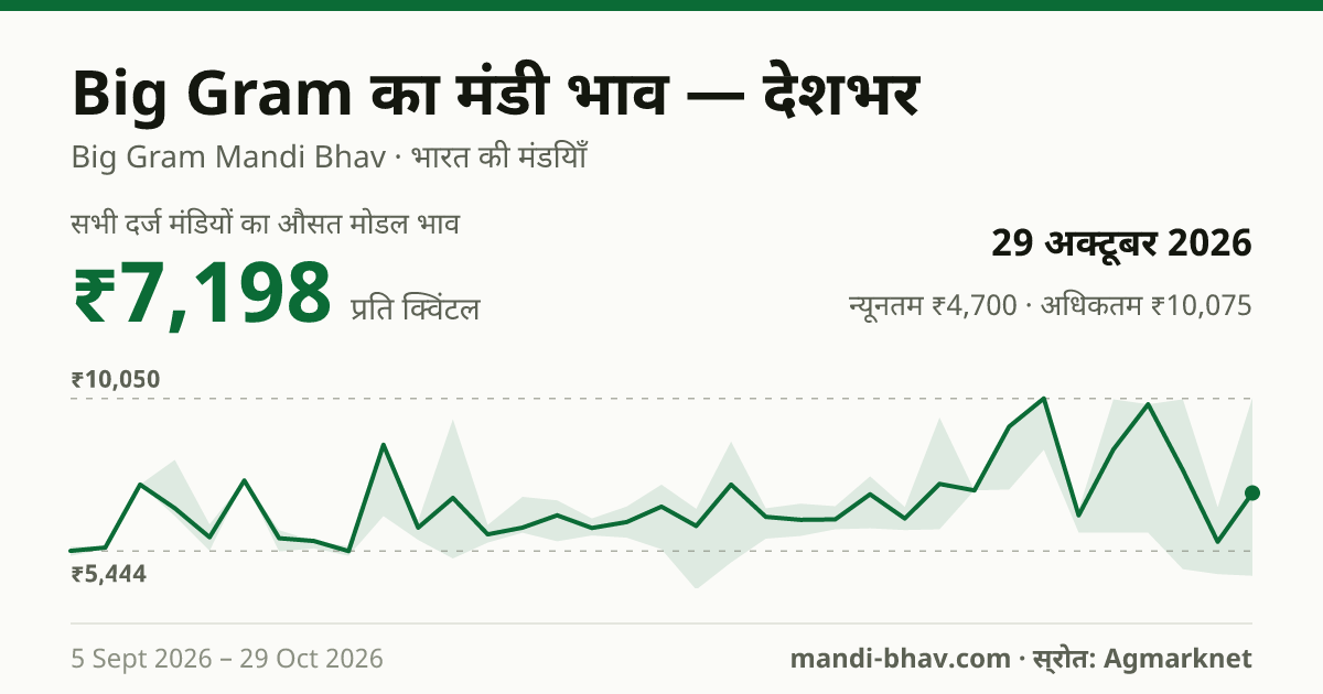 देशभर में Big Gram का मंडी भाव 29 अक्टूबर 2026: औसत मोडल ₹7,613 प्रति क्विंटल, भाव के रुझान का चार्ट