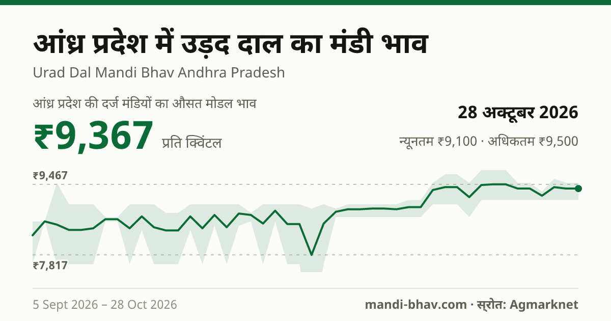 आंध्र प्रदेश में उड़द दाल का मंडी भाव 28 अक्टूबर 2026: औसत मोडल ₹9,367 प्रति क्विंटल, भाव के रुझान का चार्ट