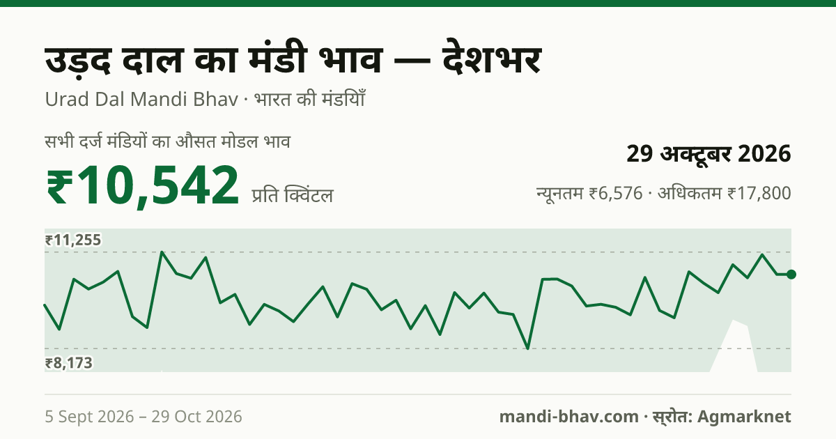 देशभर में उड़द दाल का मंडी भाव 29 अक्टूबर 2026: औसत मोडल ₹10,542 प्रति क्विंटल, भाव के रुझान का चार्ट