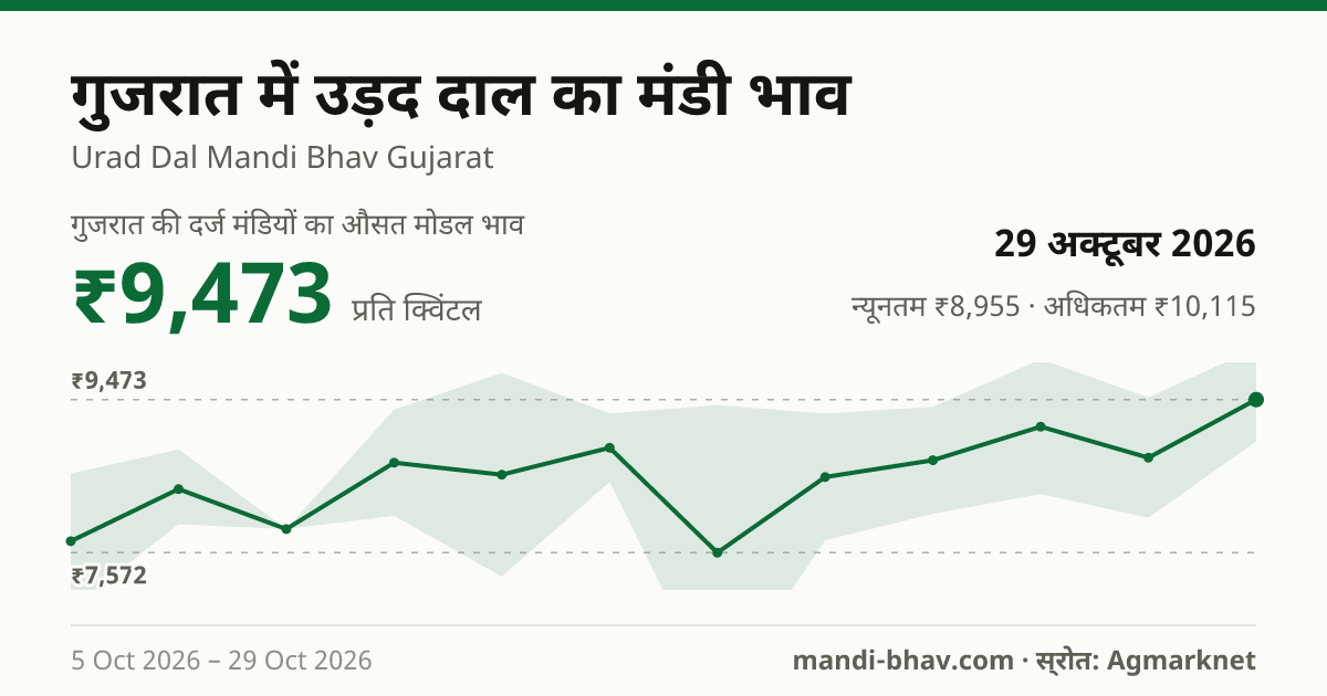गुजरात में उड़द दाल का मंडी भाव 29 अक्टूबर 2026: औसत मोडल ₹9,473 प्रति क्विंटल, भाव के रुझान का चार्ट