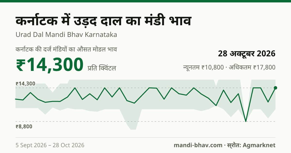 कर्नाटक में उड़द दाल का मंडी भाव 28 अक्टूबर 2026: औसत मोडल ₹14,300 प्रति क्विंटल, भाव के रुझान का चार्ट