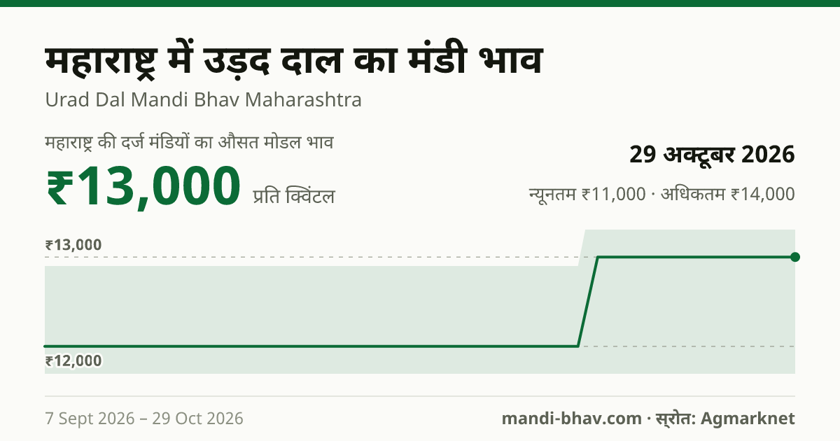 महाराष्ट्र में उड़द दाल का मंडी भाव 29 अक्टूबर 2026: औसत मोडल ₹13,000 प्रति क्विंटल, भाव के रुझान का चार्ट