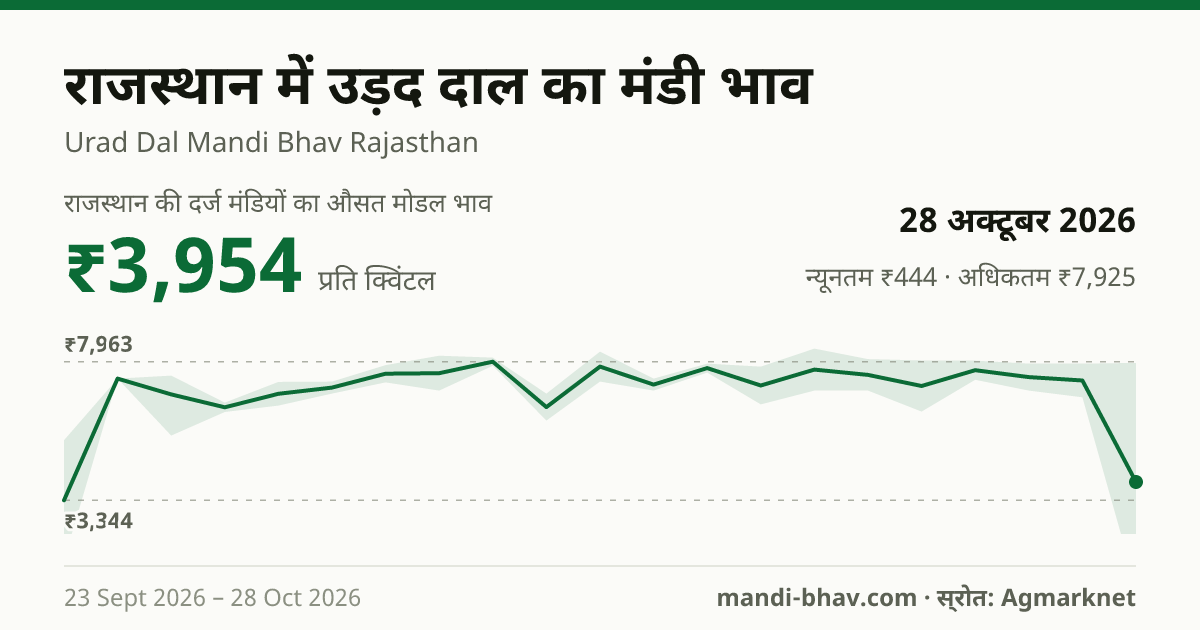 राजस्थान में उड़द दाल का मंडी भाव 28 अक्टूबर 2026: औसत मोडल ₹3,954 प्रति क्विंटल, भाव के रुझान का चार्ट